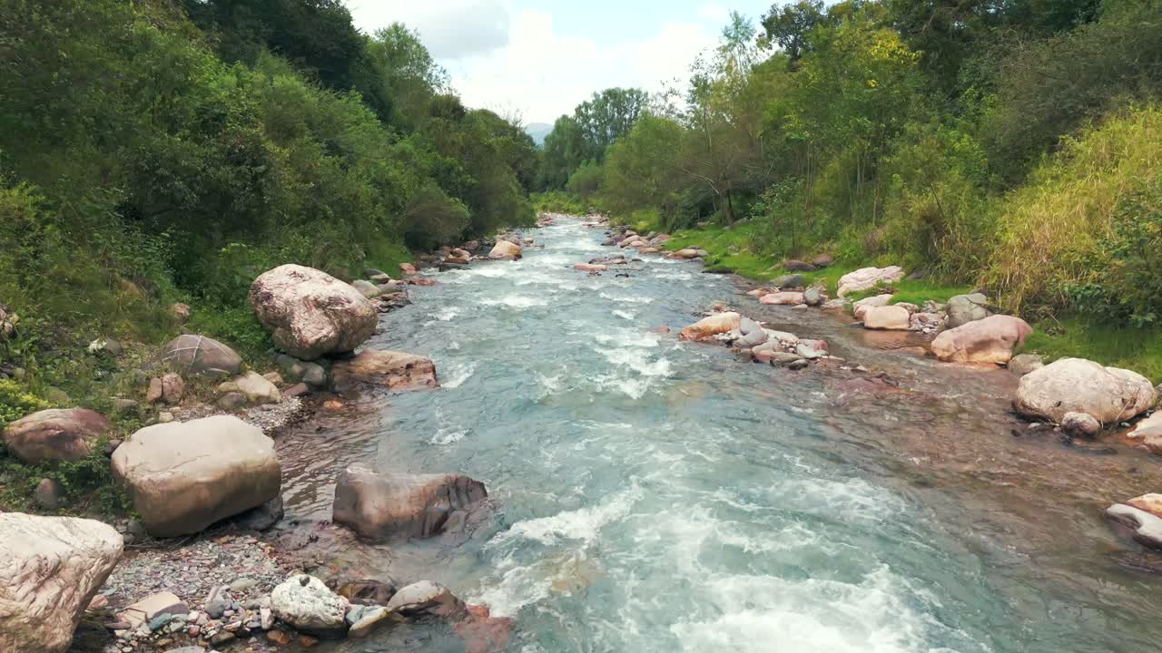 Scenic River Flowing Through a Green Forest with Rocks