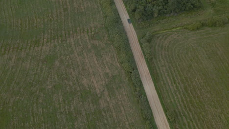 panoramización aérea sobre la conducción de automóviles a lo largo de un camino de tierra recto entre campos de cultivo verdes