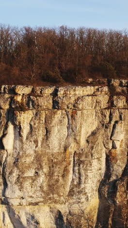 rocky cliff face with forest