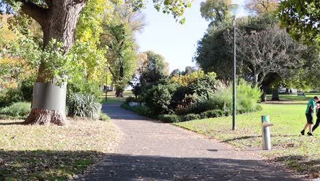 individuals strolling through melbourne's flagstaff gardens