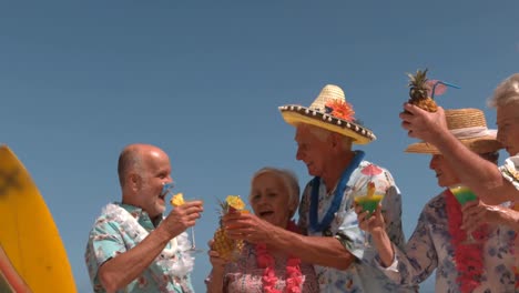 senior friends drinking cocktails