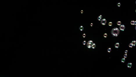soup bubbles isolated on black background