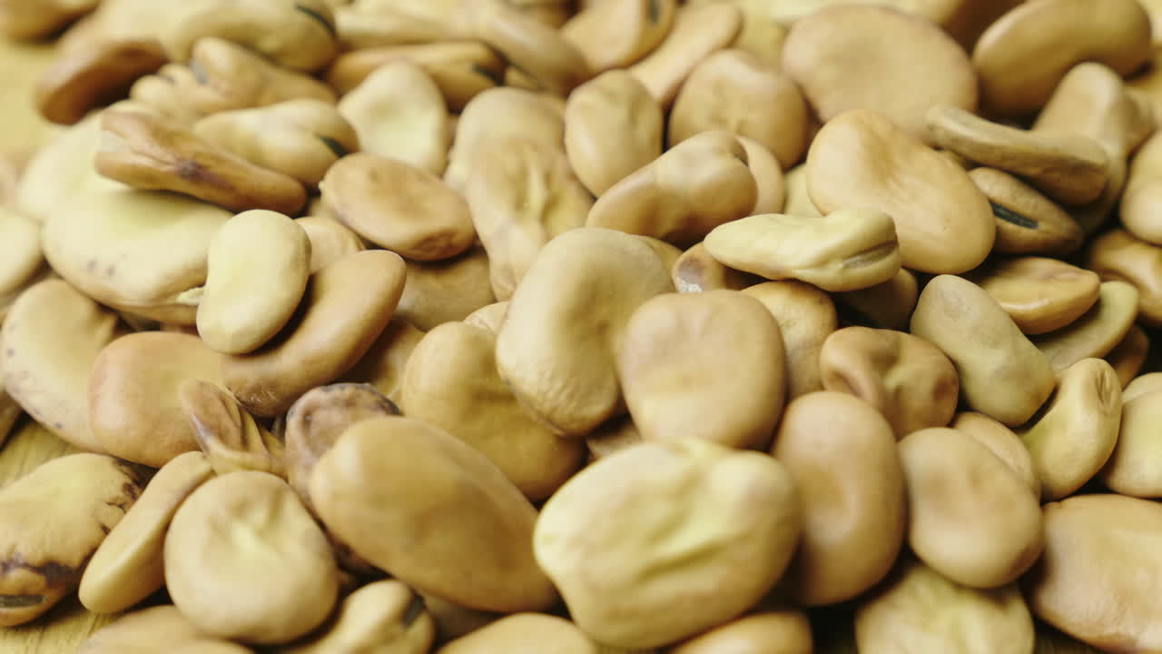 말린 야채 콩식이 식품 개념 4k 비디오