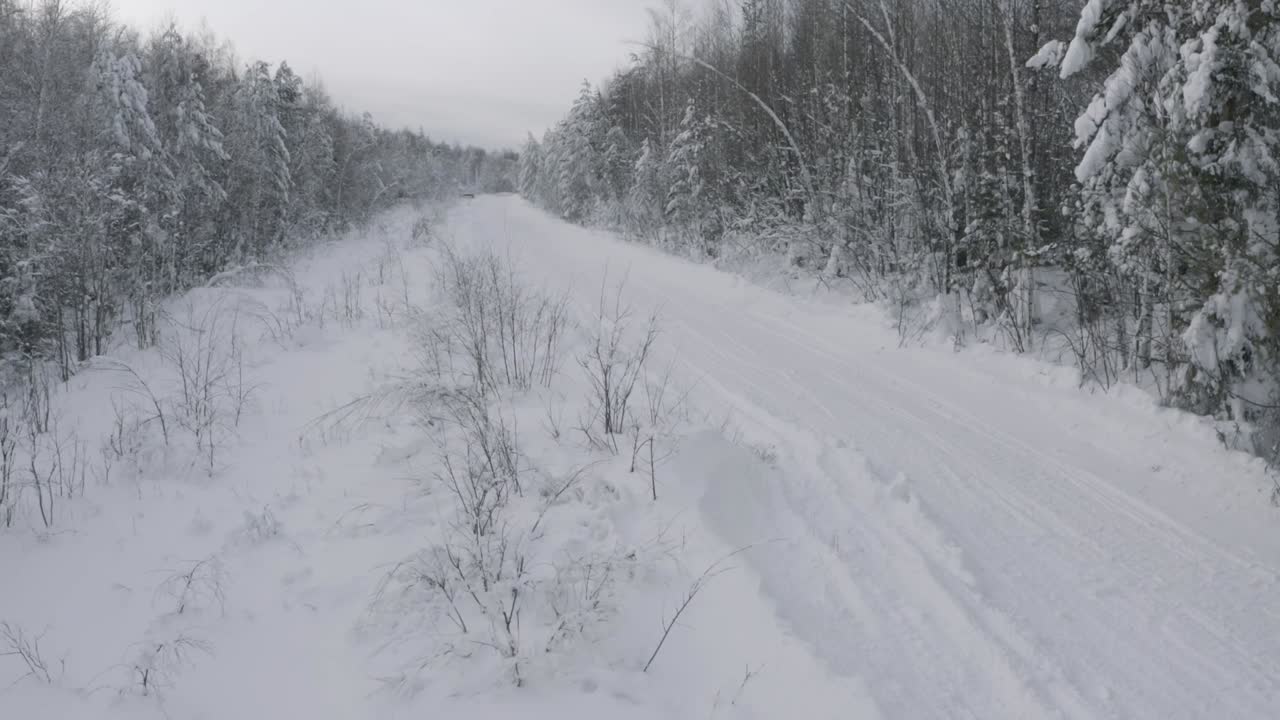 눈 인 숲 에 있는 스노우 모터