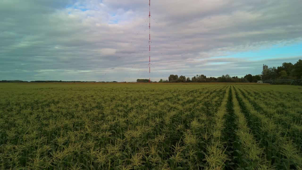 Sky-high radio tower emerges from the cornfields in Solt, Hungary, on a cloudy day