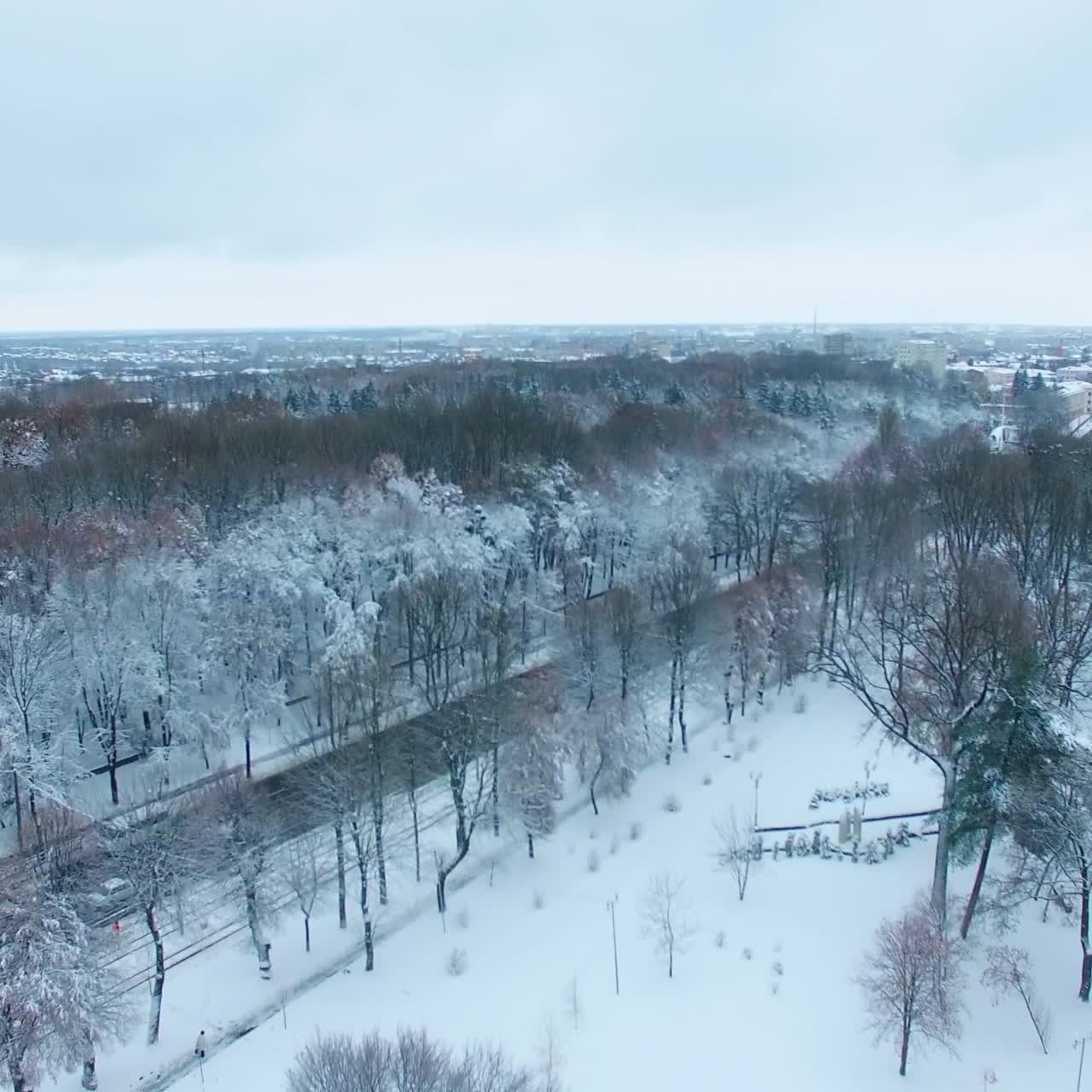 Rising above city park in winter season. Cars and public transport going by the cleaned road. Cityscape at backdrop. Top view