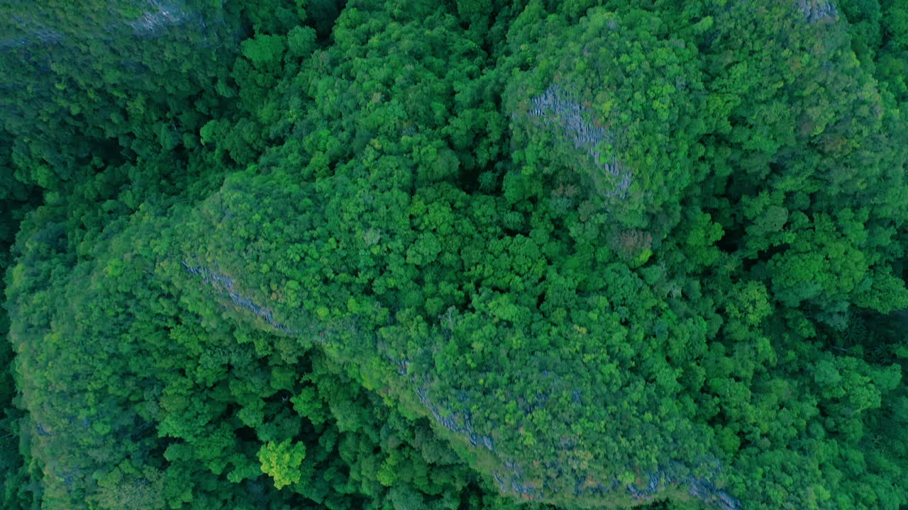 la tierra tiene su música para aquellos que quieran escuchar