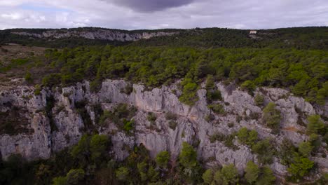 Aerial-view-of-rustic-dramatic-gorge-cliff-with-lush-green-trees