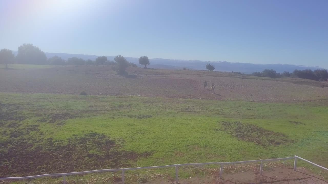 elevar sus visuales con este hipnotizante montaje de caballos imágenes del paisaje