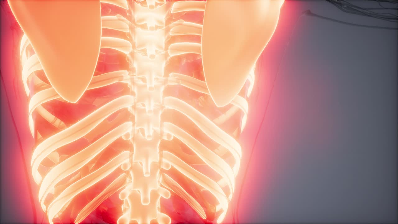 눈에 띄는  ⁇ 가 있는 투명한 인간 몸