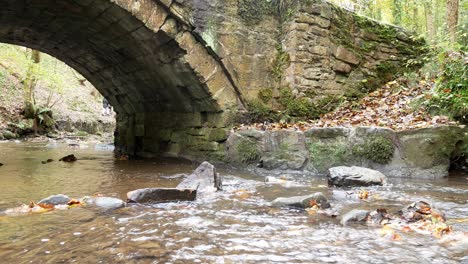 fluir otoñal bosque bosque arroyo piedra arco puente desierto follaje ángulo bajo