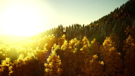 bright sunset in the mountains