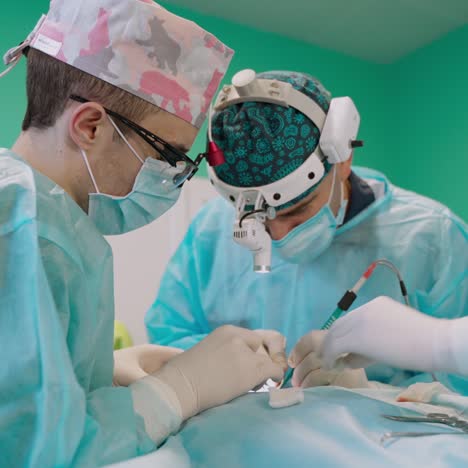 otoplasty surgery. correction of protruding ears. team surgeon at work in operating room.