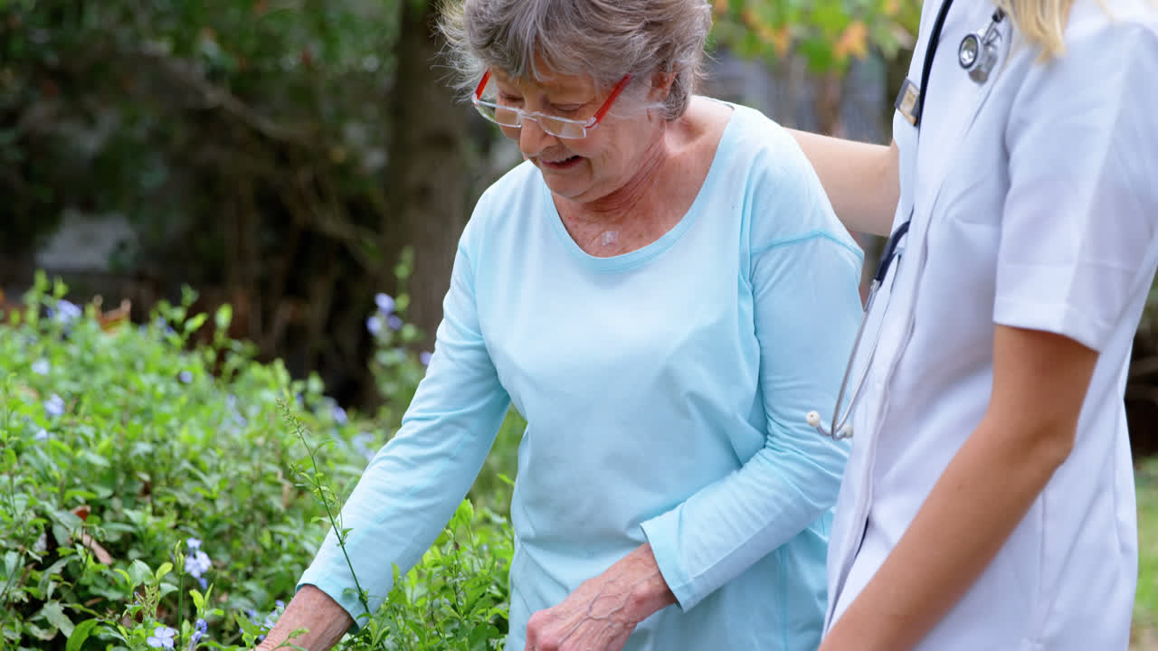 잎을 만지는 동안 고령 여성을 지원하는 의사 4k