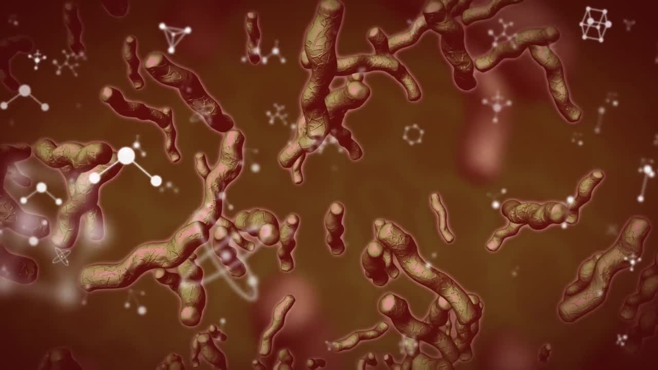 어두운 배경 위에서 움직이는 세포의 애니메이션