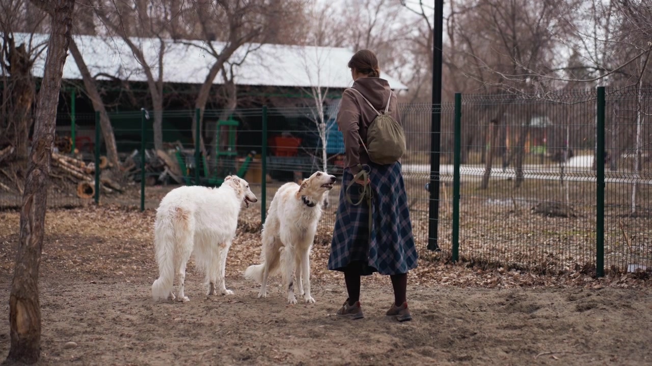 Una donna interagisce con due cani bianchi in un'area esterna recintata, dando comandi e tenendo i guinzagli. Lo sfondo include alberi spogli, una recinzione verde e foglie sparse a terra, suggerendo l'autunno.