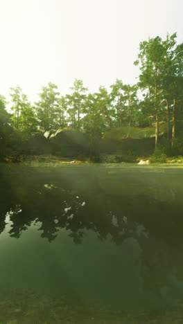 tranquil lake in a forest