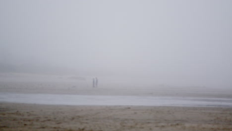 foggy beach scene