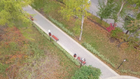 autumn park scene with people