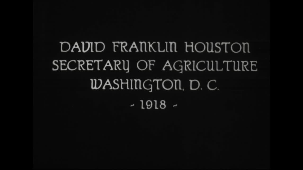 Prominent Officials In The 19171921 President Woodrow Wilson Administration Are Profiled Including Secretary Of War Newton Baker 3