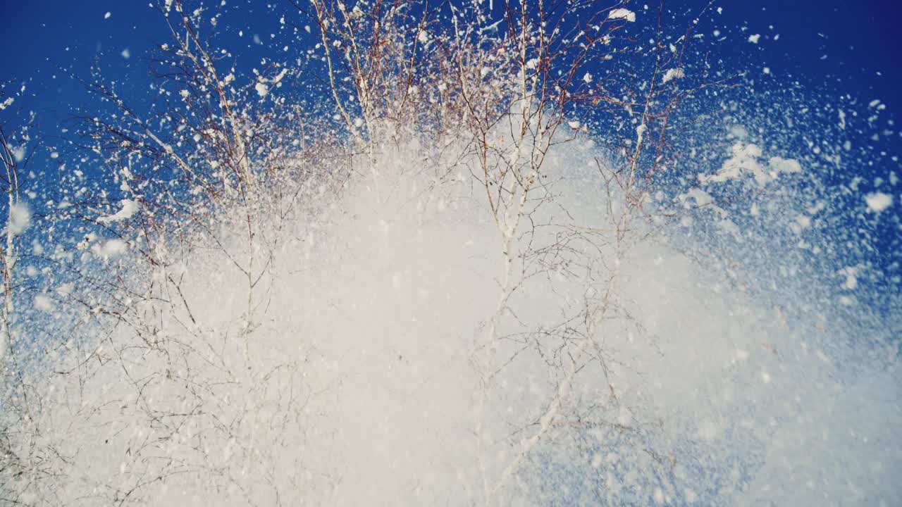 Scena invernale innevata con alberi di betulla