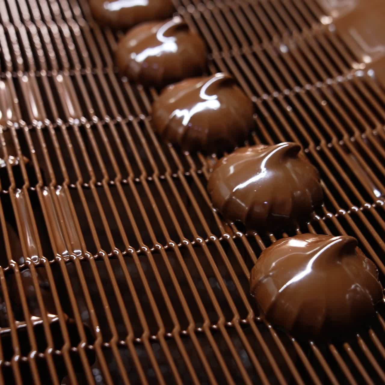 Chocolate candies on a production line