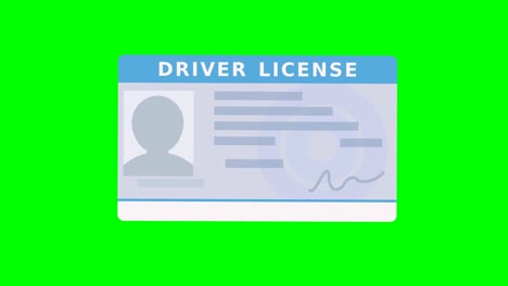 a hand presents a generic driver's license on a blue background (flat design)