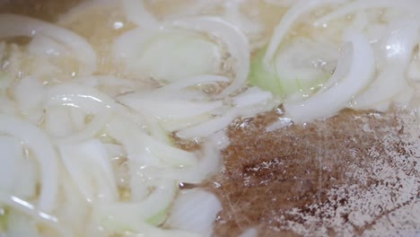 cebollas para freír