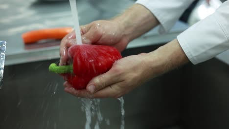 chef washing a red bell pepper