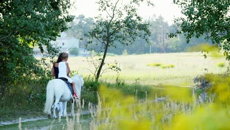 a woman and a boy are walking around the field, son is riding a pony, mother is holding a pony for a bridle. cheerful, happy family vacation. outdoors, in summer, near the forest