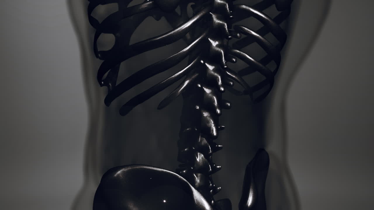 3d-медицинская анимация мужской анатомии костей