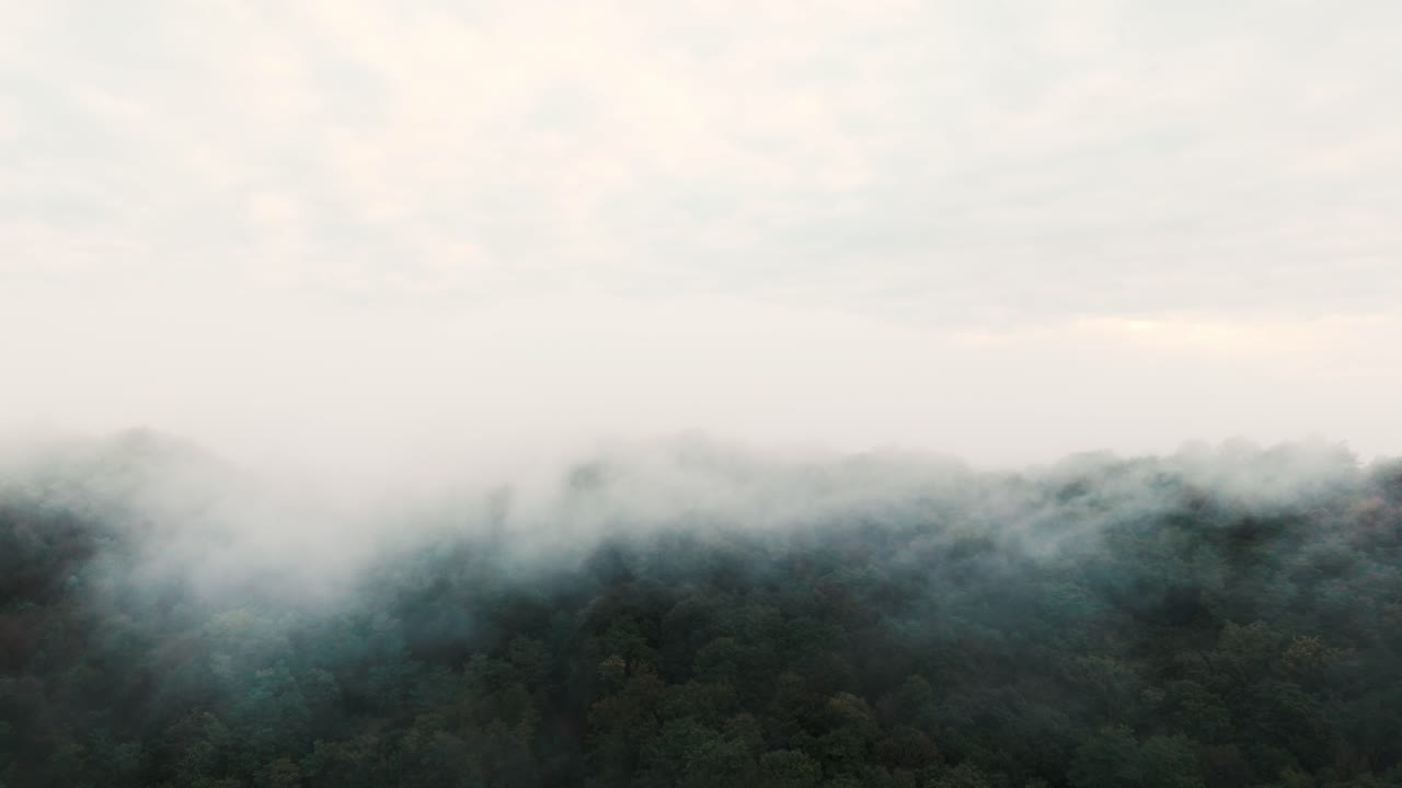 Clouds roll like ocean waves along a forested mountainside creating a breathtaking natural view