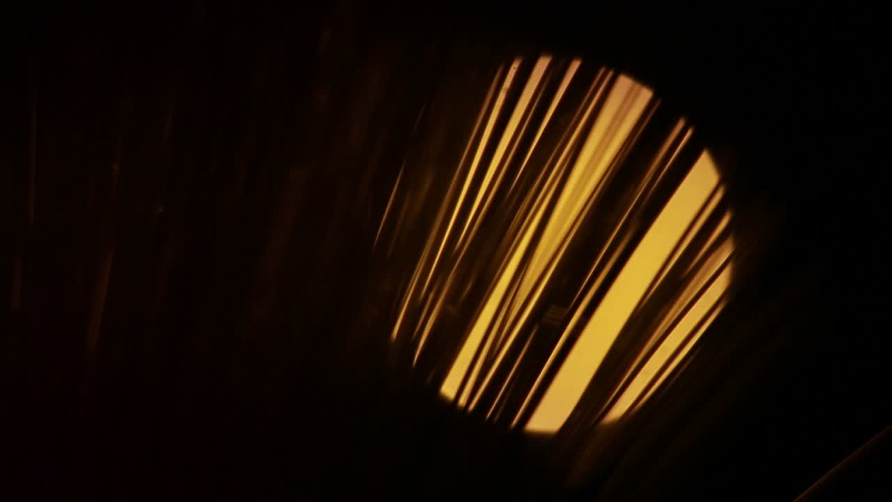 círculo combinado amarillo en la oscuridad detrás de las plantas que mueven el viento