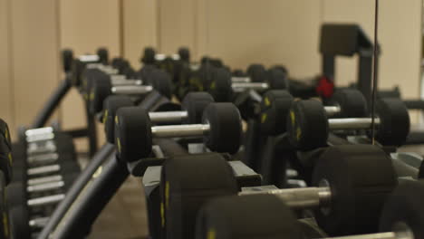 man lifting dumbbells in a gym