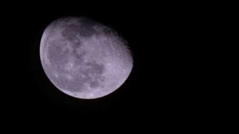 la luna se mueve en tiempo real