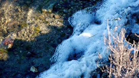 closeup of pollution in a river bed