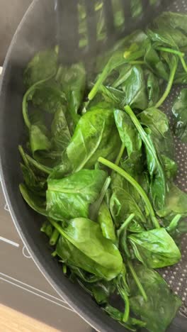 cooking fresh spinach in a pan
