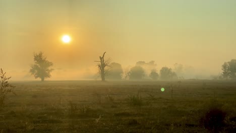 Shot-of-morning-mist-over-open-field-at-sunrise