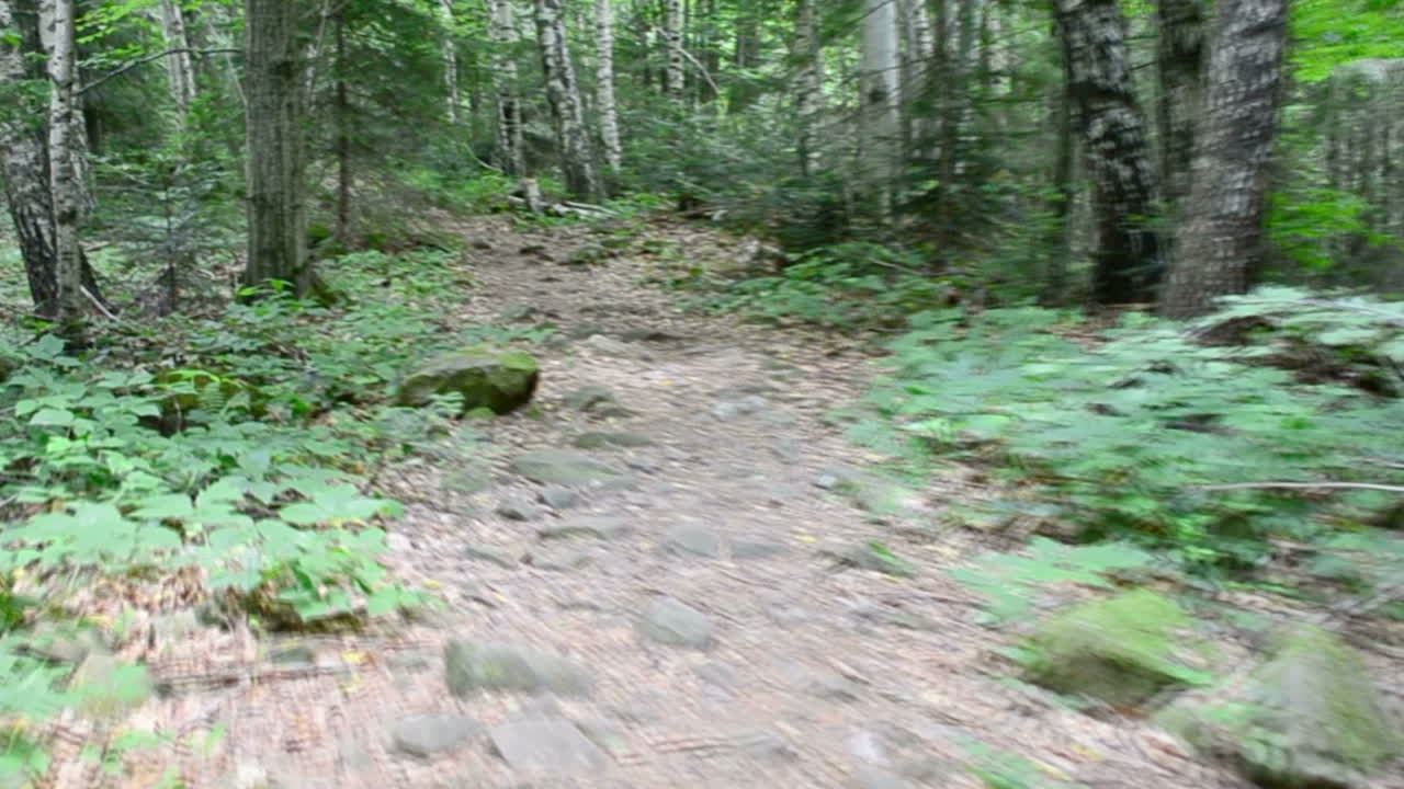 Stones in mountains. Shooting in the movement