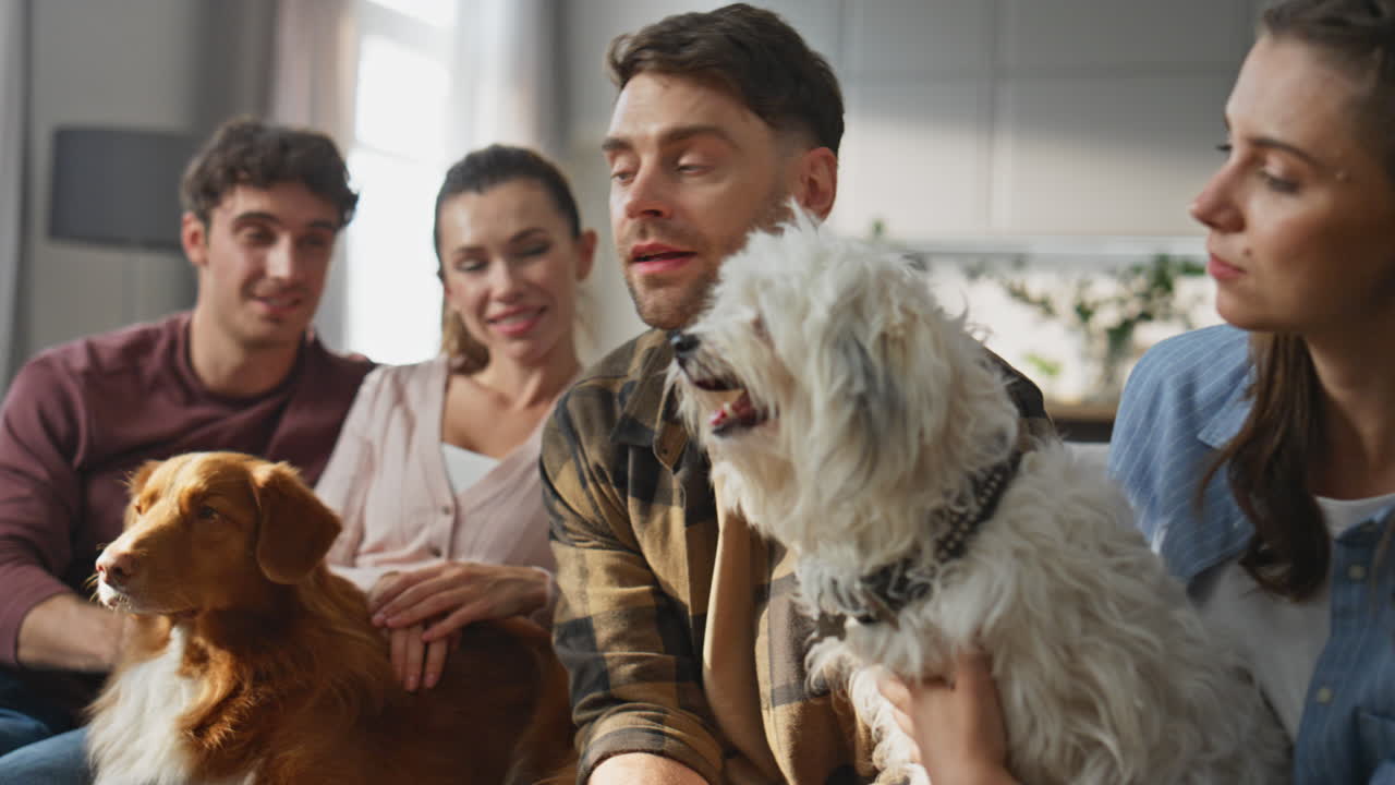 Pet friends talking together at apartment weekend close up. People sitting home
