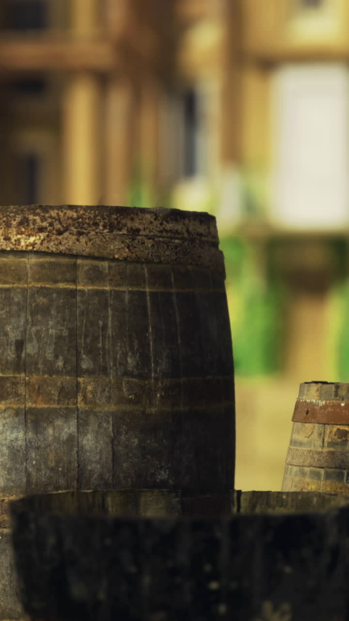 Barrels of various sizes placed outdoors in a sunny environment near buildings