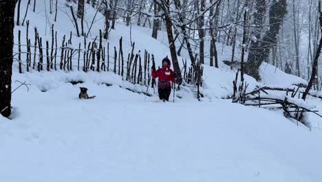 Eine-Frau,-Die-Mit-Ihrem-Hund-Im-Schnee-Wandert,-Starker-Schneefall-Im-Wald,-Wunderbare-Naturlandschaft,-Outdoor-Aktivitäten-In-Einem-Ländlichen-Dorf,-Episches-Reiseziel,-Winterlandschaft-Des-Hyrkanischen-Waldes