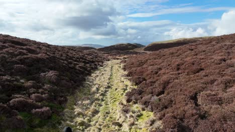 Man-running-on-a-hill-in-Scotland-during-spring-season-in-a-clear-day