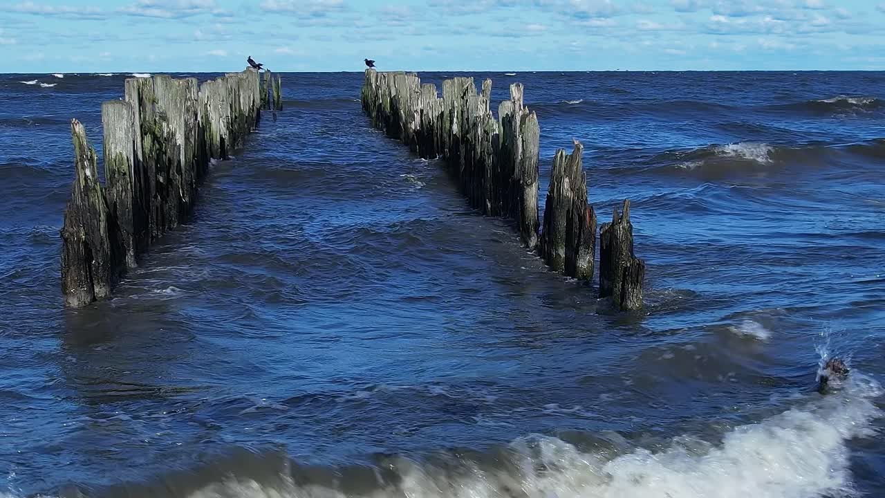 Bølger slår mod træpæle ved Østersøen på en solrig dag