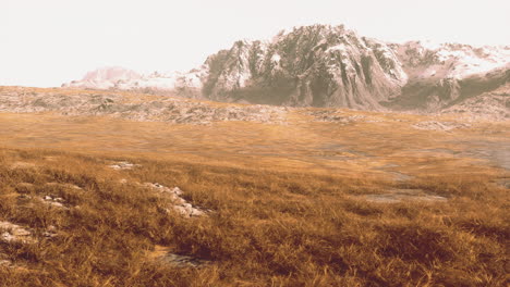 paisaje desértico rocoso con vegetación escasa y picos montañosos