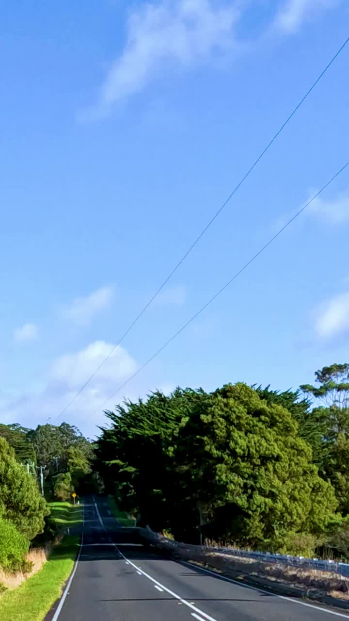 그레이트 오션 로드를 따라 울창한 풍경을 통해 조용한 드라이브, 활기찬 초록색과 은 파란 하늘을 보여줍니다.