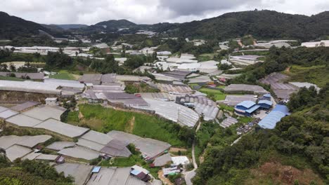 general landscape view of the brinchang district within the cameron highlands area of malaysia