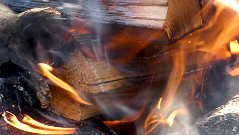 Nahaufnahme-Eines-Feuers,-Das-In-Einer-Betongrube-Brennt