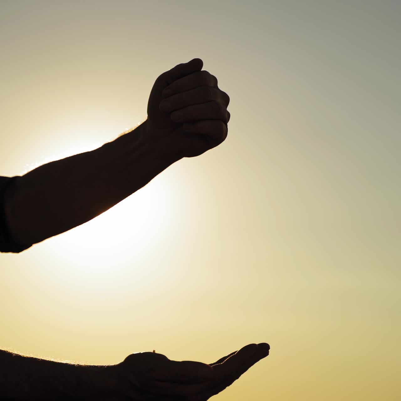 Grains in farmer's hands. Golden seeds of ripe wheat in male's hands against the sun setting in farmland.