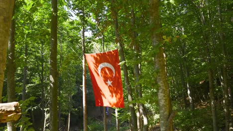 Gran-Bandera-Turca-Colgada-En-El-Bosque.